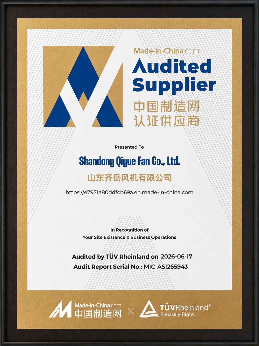 Shandong Qiyue Fan Made-in-China.com Audited Supplier audited by TÜV Rheinland